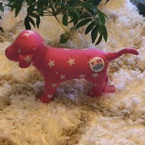 PINK Victoria’s Secret “Vote” pup
